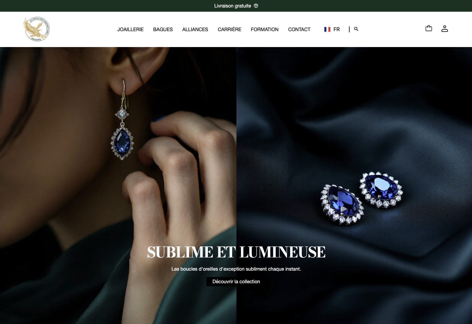 Shopify theme development project